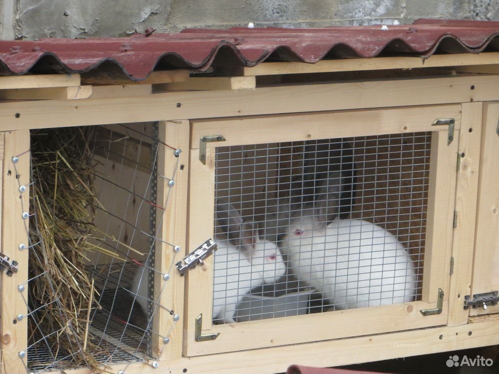 Клетки для кроликов купить на Зозу.ру - фотография № 2