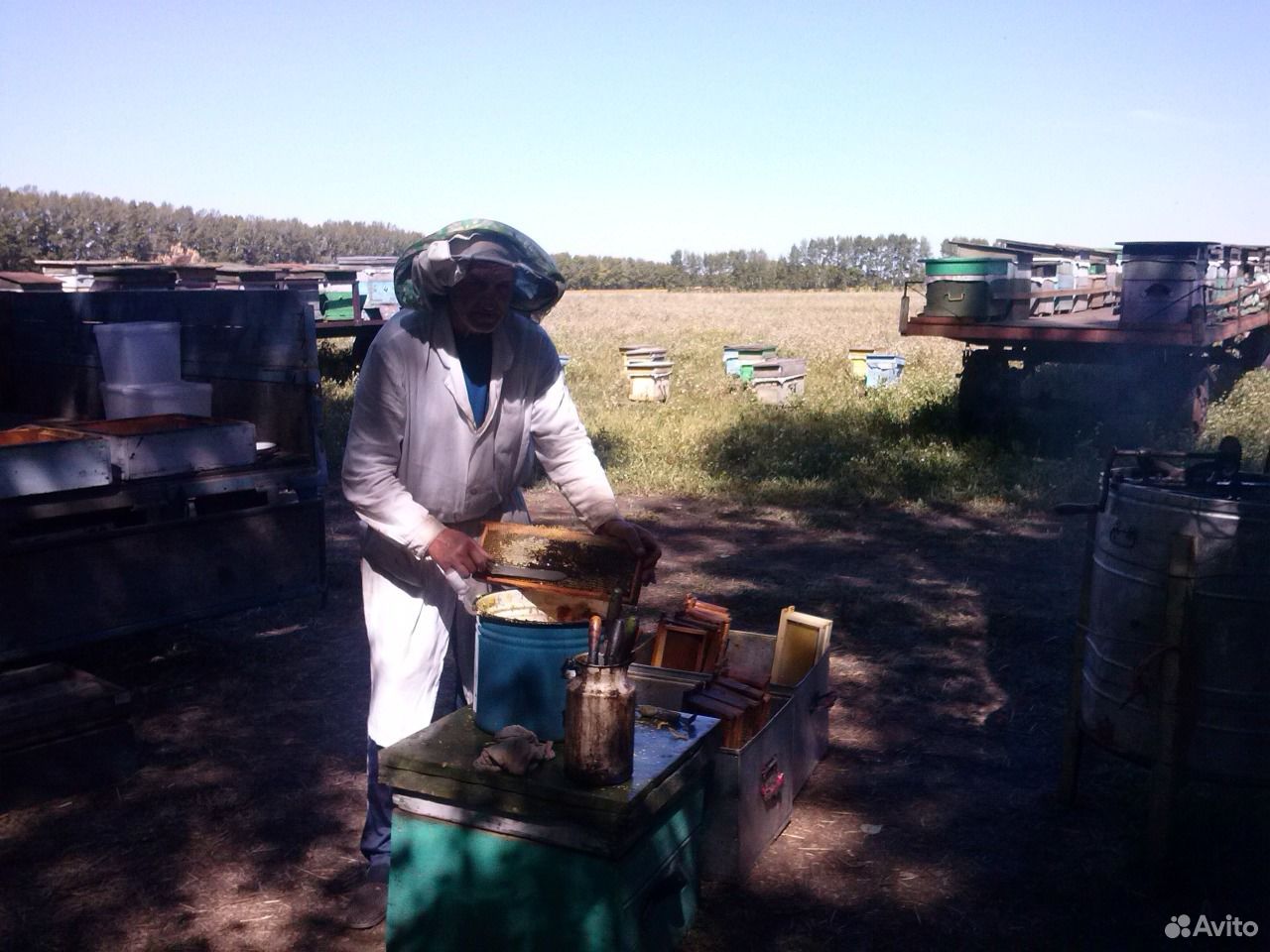 Мёд урожая 2019 со своей пасеки купить на Зозу.ру - фотография № 3
