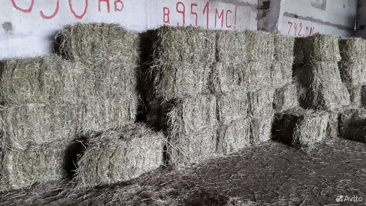 Купить сено в тульской. Размер тюка сена 20 кг. 500 Килограммовый тюк сена. Размер тюка сена 500 кг. Тюк сена вес.