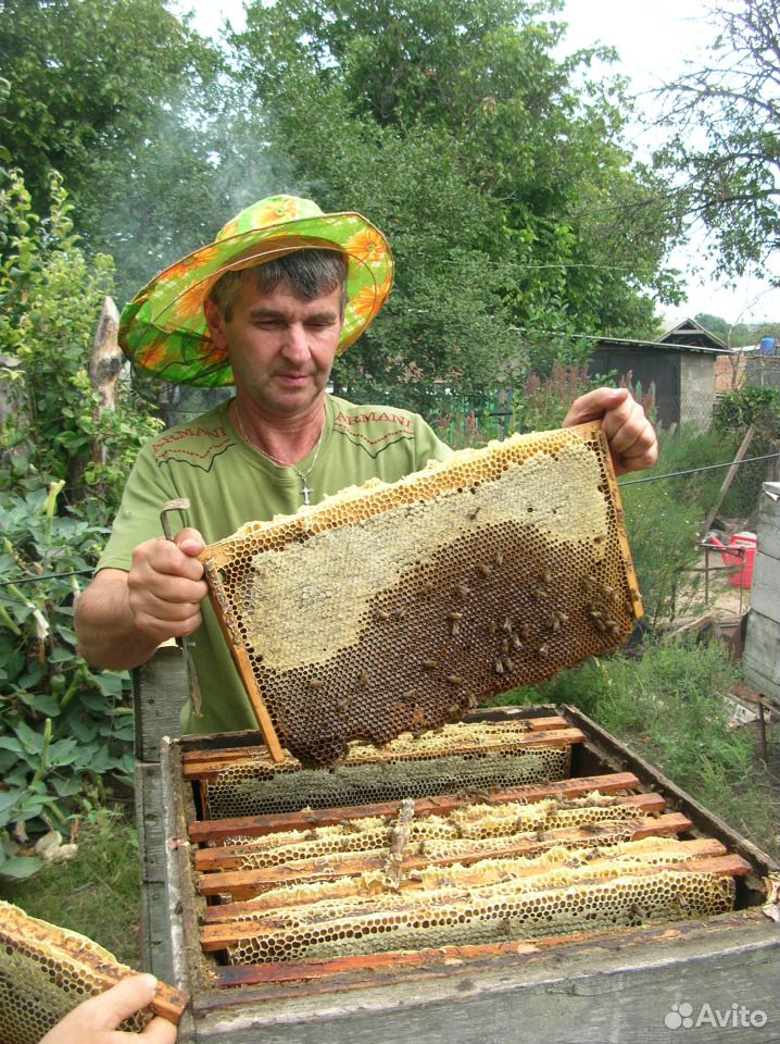Продукты пчеловодства купить на Зозу.ру - фотография № 1