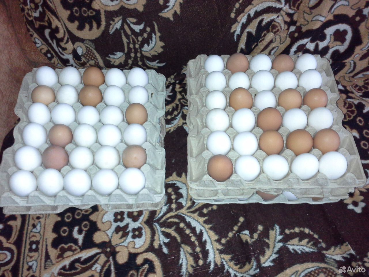 Яйцо столовое, свежее, диетическое, куринное купить на Зозу.ру - фотография № 1