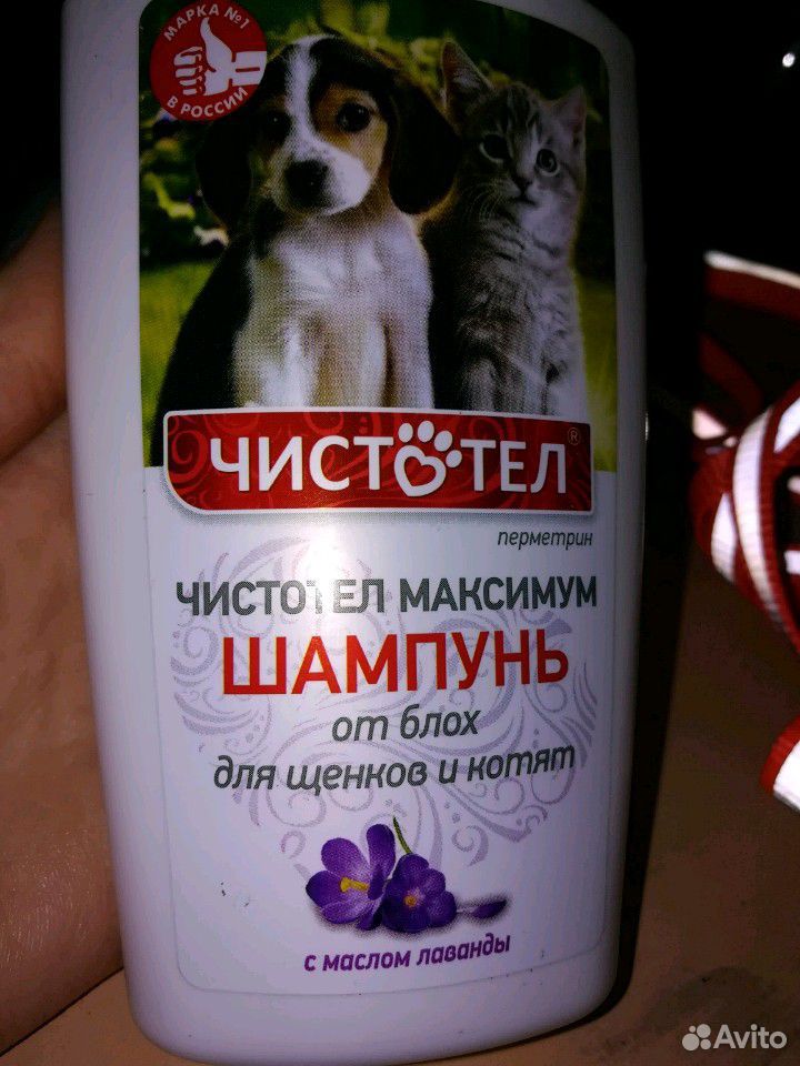 Светоотражающая шлейка для собак (поводок) купить на Зозу.ру - фотография № 3