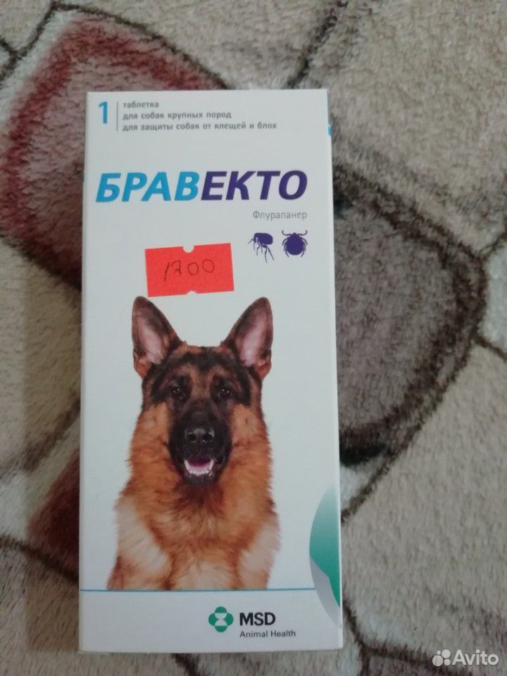Таблетка для собак крупных пород для защиты собак купить на Зозу.ру - фотография № 1