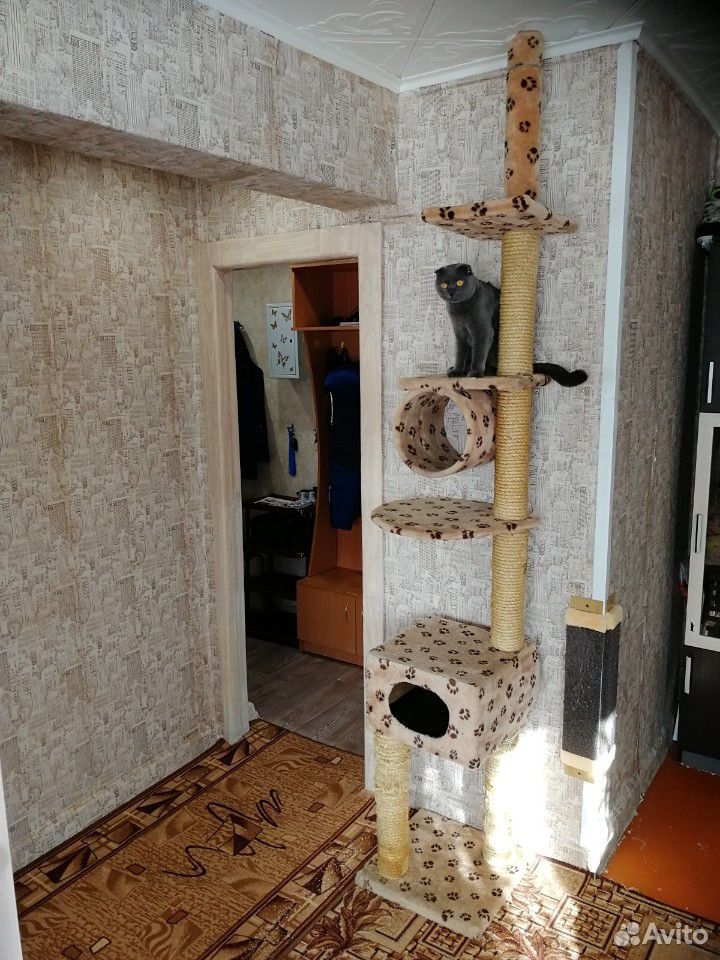 Домик для кошек купить на Зозу.ру - фотография № 2