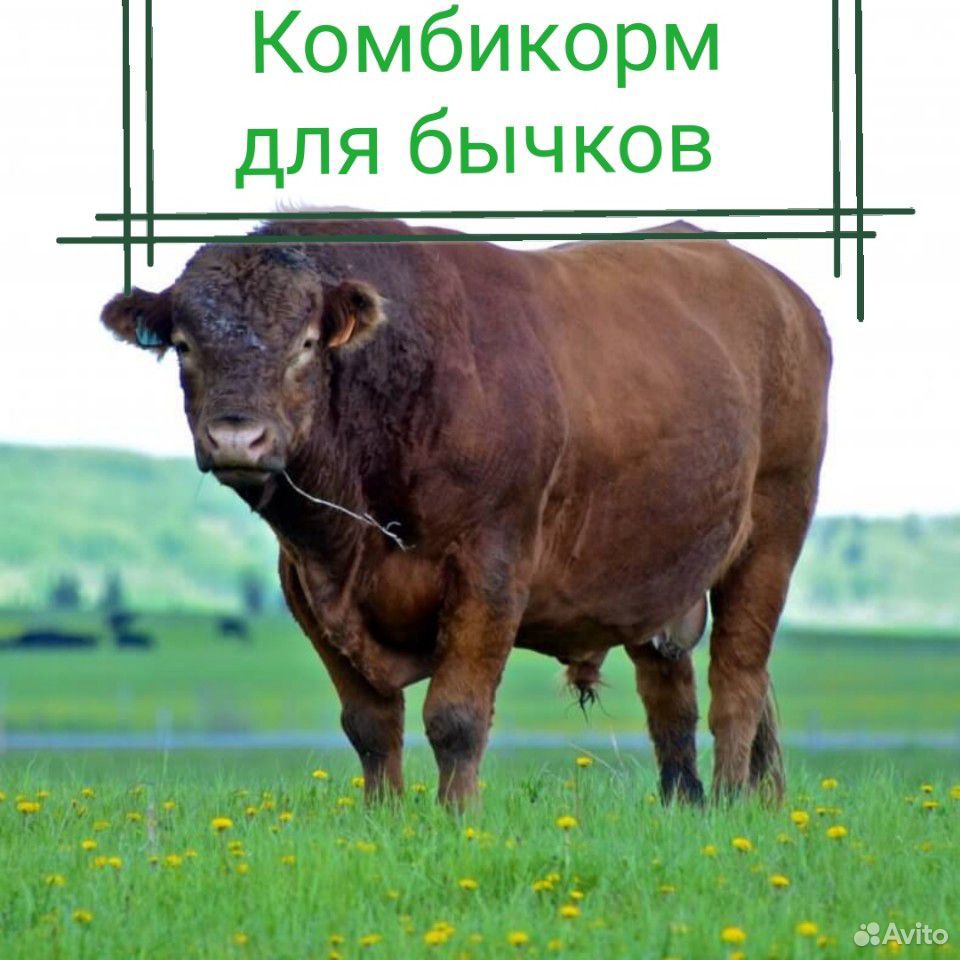 Комбикорм для откорма быков купить на Зозу.ру - фотография № 1