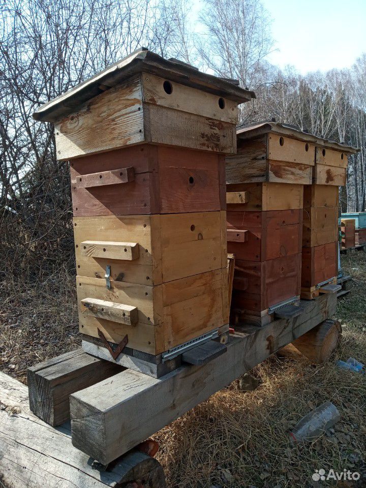 Технология содержания пчел в ульях аббата Варрэ(abba Warre)