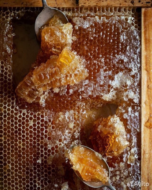 Пчёлы мёд ульи купить на Зозу.ру - фотография № 2