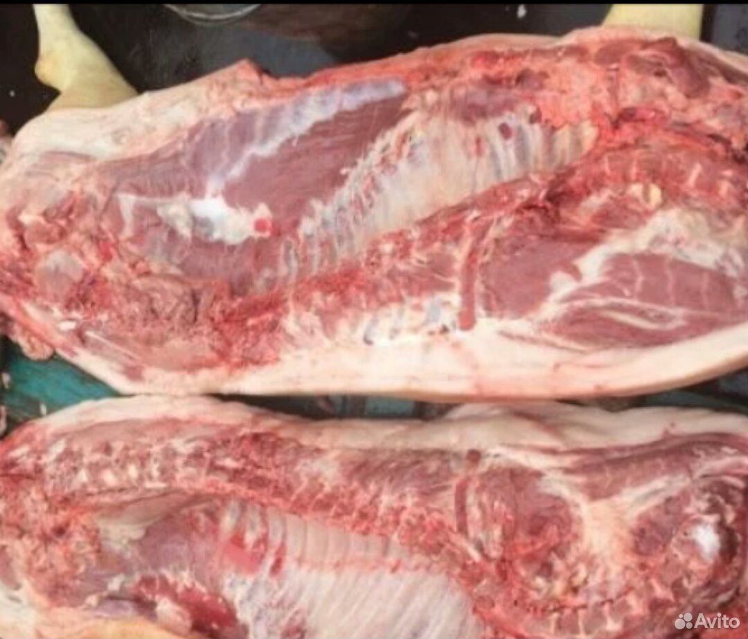 Мясо вьетнамской свиньи. Мясо вьетнамской свиньи мрамор. Фото домашней свинины четвертинами. Мясо домашних свиней