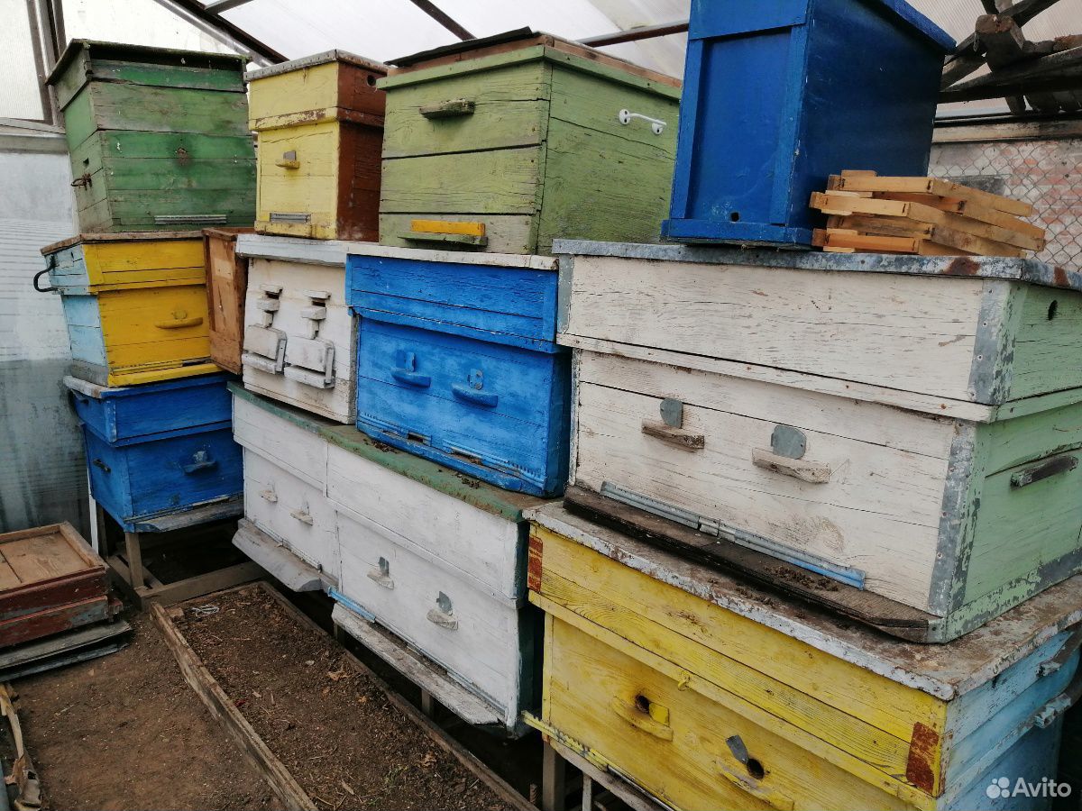 Пчелиные улья купить на Зозу.ру - фотография № 3