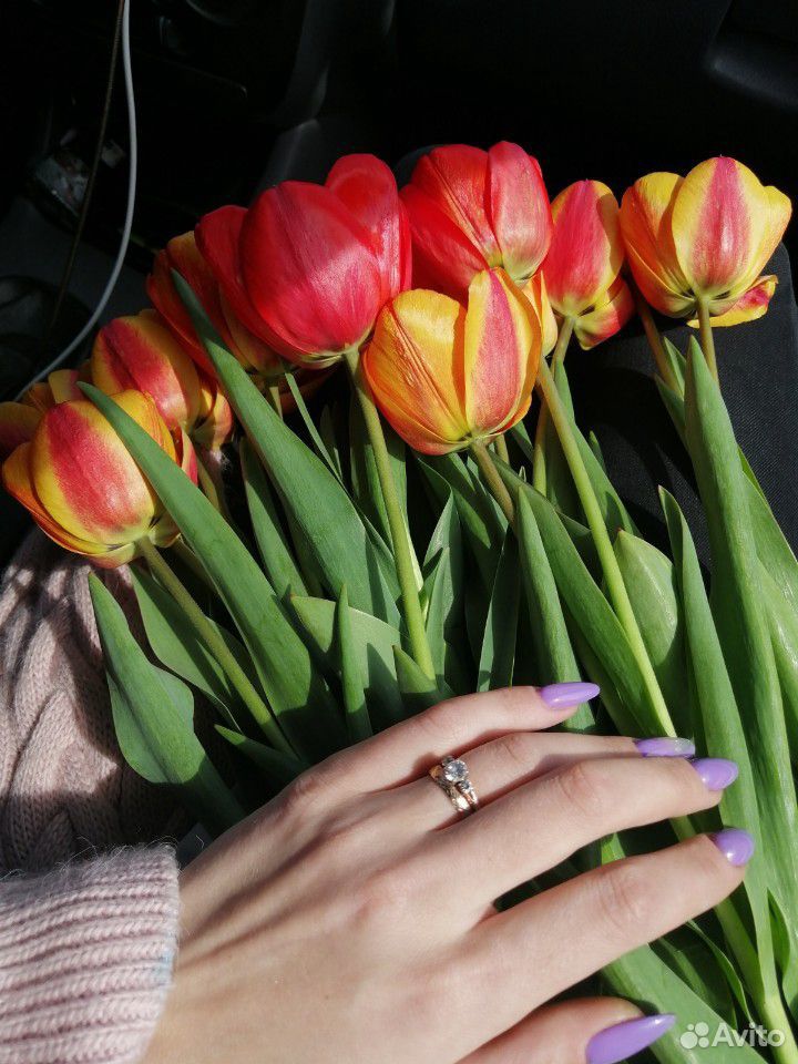 Тюльпаны купить на Зозу.ру - фотография № 2