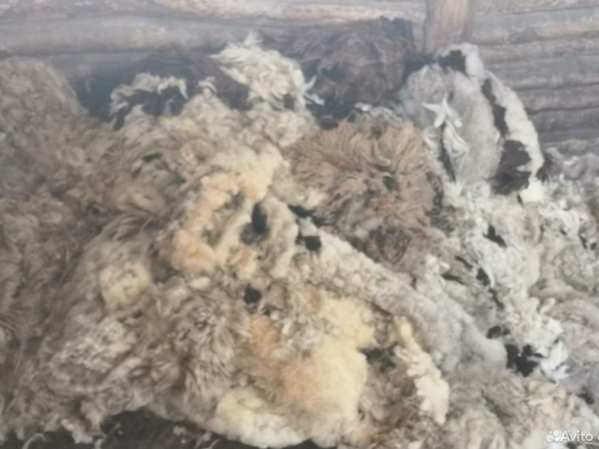 Продам шерсть овчиное на вязку купить на Зозу.ру - фотография № 1