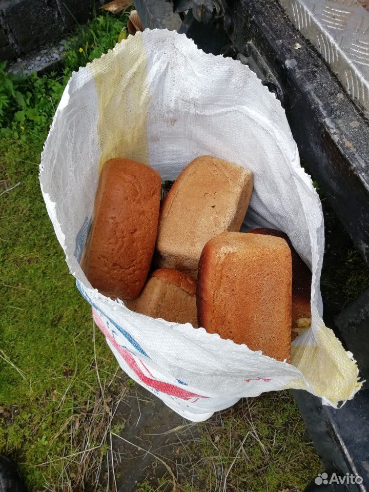 Хлеб купить на Зозу.ру - фотография № 1