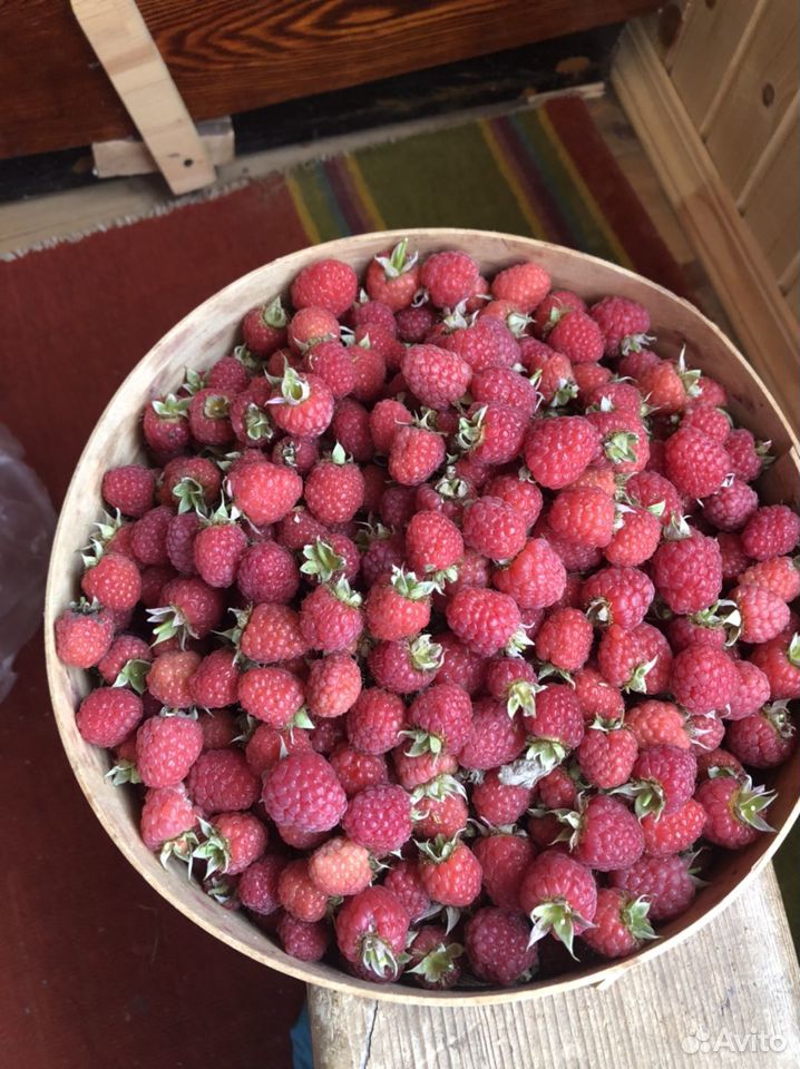 Малина ягода купить на Зозу.ру - фотография № 4
