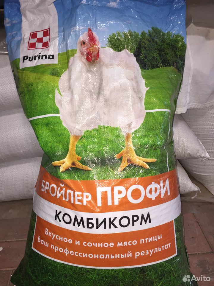 Цыплята Бройлер Кобб 500 купить на Зозу.ру - фотография № 2
