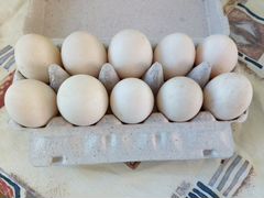 Утиные яйца (десяток)