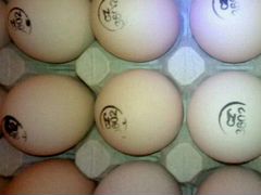 Инкубационное яйцо цыплят бройлера
