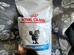 Корм Royal Canin Anallergenic для кошек