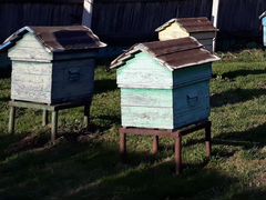 Ульи, рамки, медогонка и инструмент пчеловода