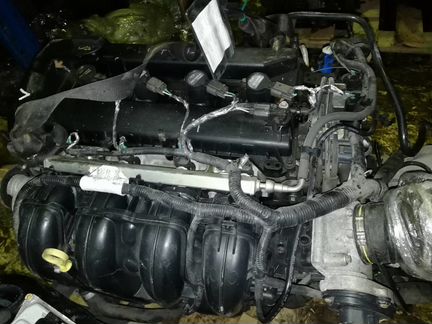 Контрактный двигатель qqdb (qqda) 1.8 Ford Focus