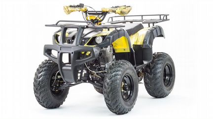 Квадроцикл motoland ATV 250 adventure в X-motors