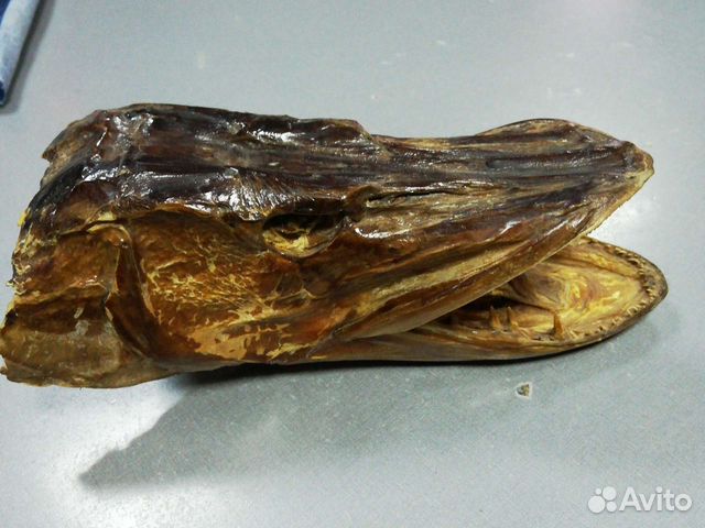 Чучело Щуки