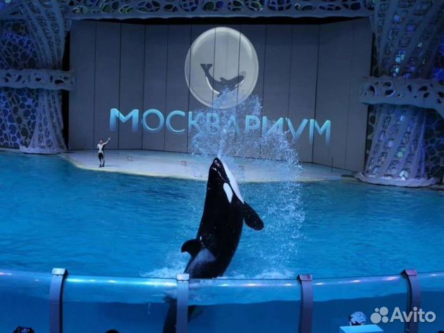 Билеты в Москвариум, Океанариум ВДНХ