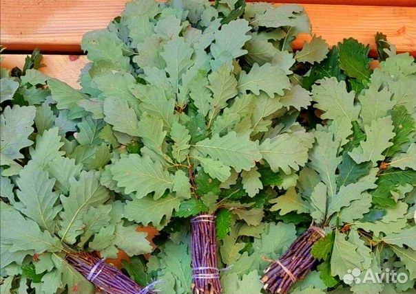 Веники банные