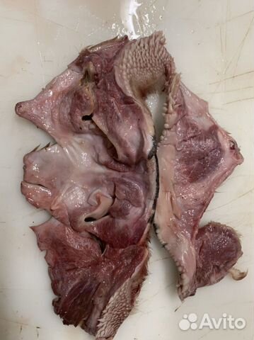 Губонос говяжий,без костей