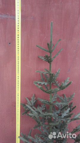 Елка искусственная СССР