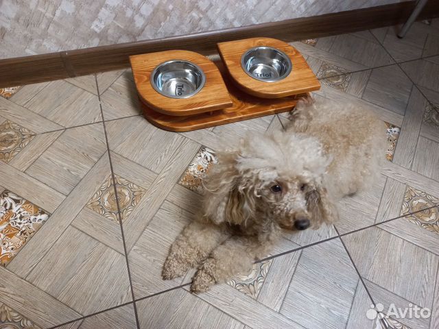 Миска для собаки на подставке