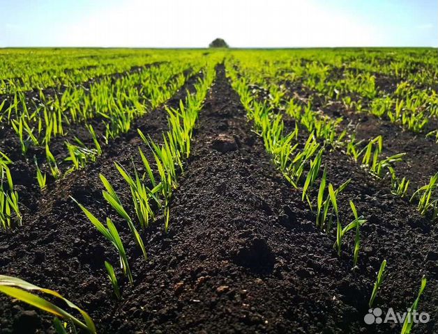 Чернозём,Грунт,Навоз,Перегной,Торф