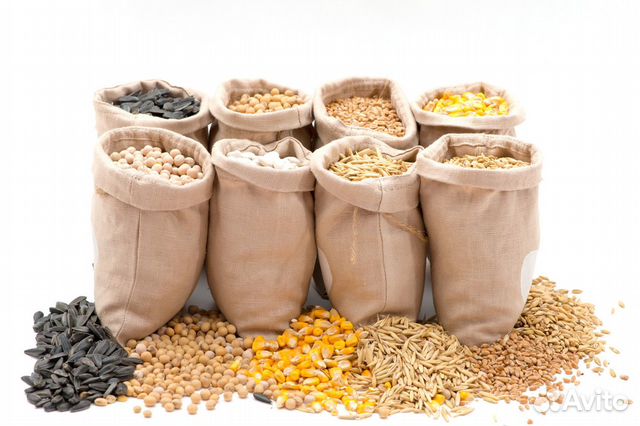 Пшеница, ячмень, овес, фураж, отруби, семечки