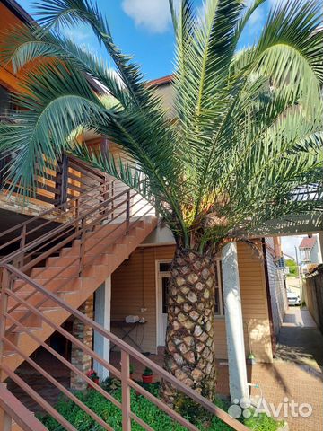 

1-к. квартира, 40 м², 3 кровати