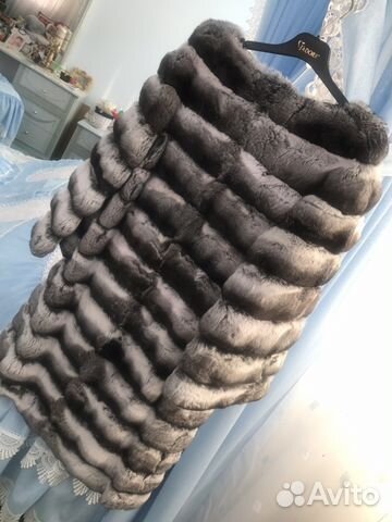 Шиншилла Шиншилла