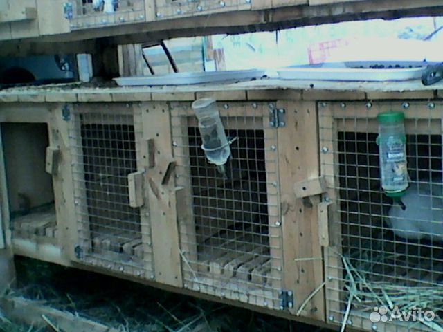 Клетки для кроликов, кормушки купить на Зозу.ру - фотография № 3