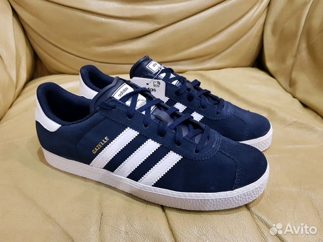 gazelle 37
