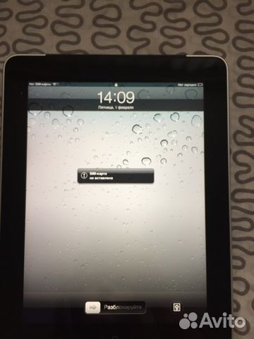 iPad