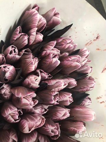 Цветы Цветы