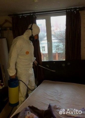 Дезинфекция в Москве и Московской области Дезинфекция в Москве и Московской области