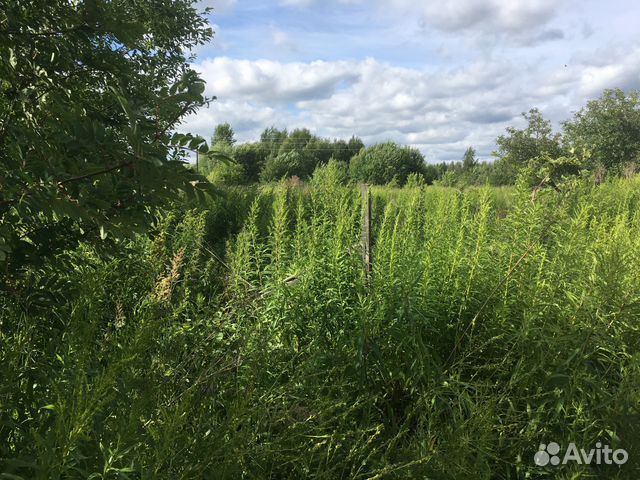 Участок 10 сот. (ИЖС) Участок 10 сот. (ИЖС)