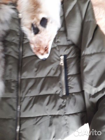 Куртка женская (можно без лисы ) Куртка женская (можно без лисы )