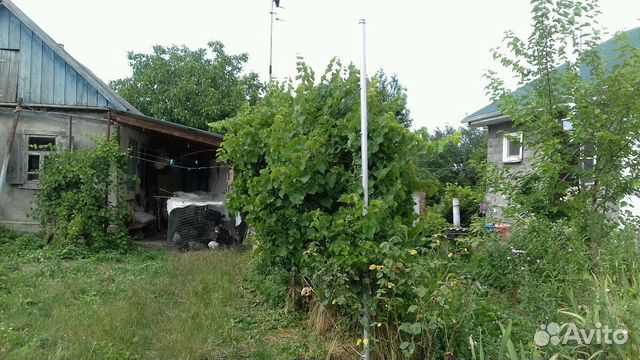 Дом 56 м² на участке 43 сот. Дом 56 м² на участке 43 сот.