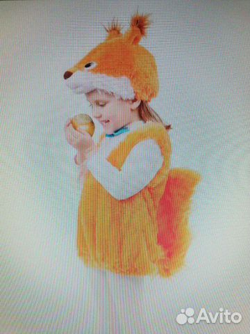 Белка на прокат