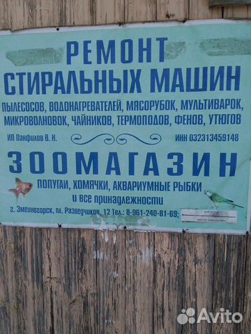 Аквариумные рыбки, всё для аквариума, птички, хомя купить на Зозу.ру - фотография № 1