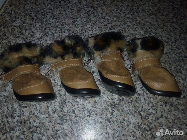 Обувь для собак купить на Зозу.ру - фотография № 4