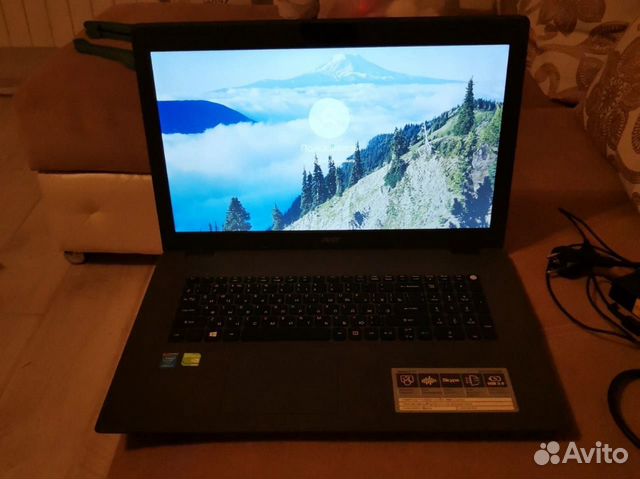 Acer Acer