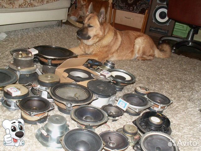 Ремонт динамиков и акустики со времен СССР