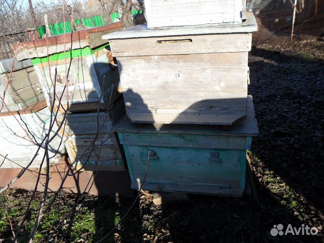 Улей для пчел купить на Зозу.ру - фотография № 3