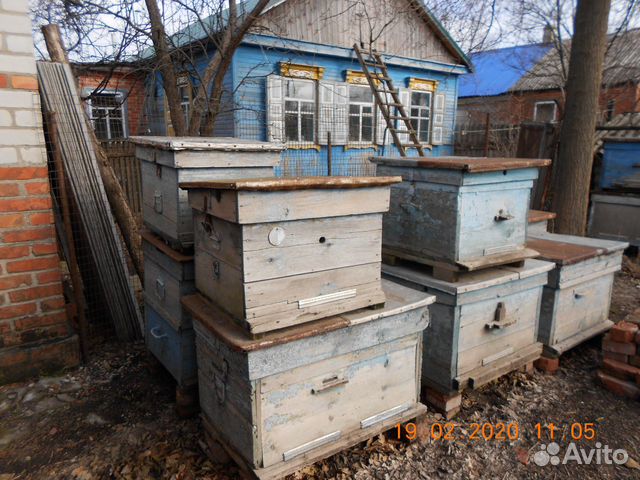 Улики для пчёл купить на Зозу.ру - фотография № 2