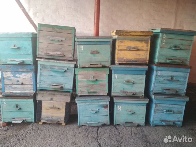 Ульи пчелиные купить на Зозу.ру - фотография № 2